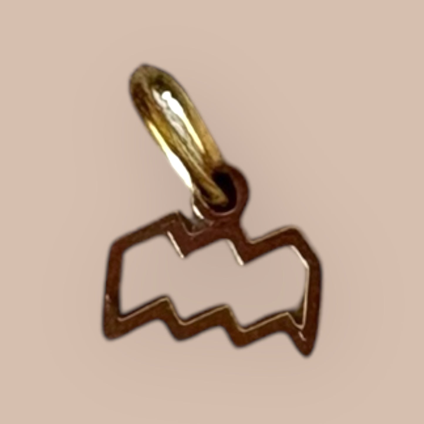 Aquarious Zodia Charm