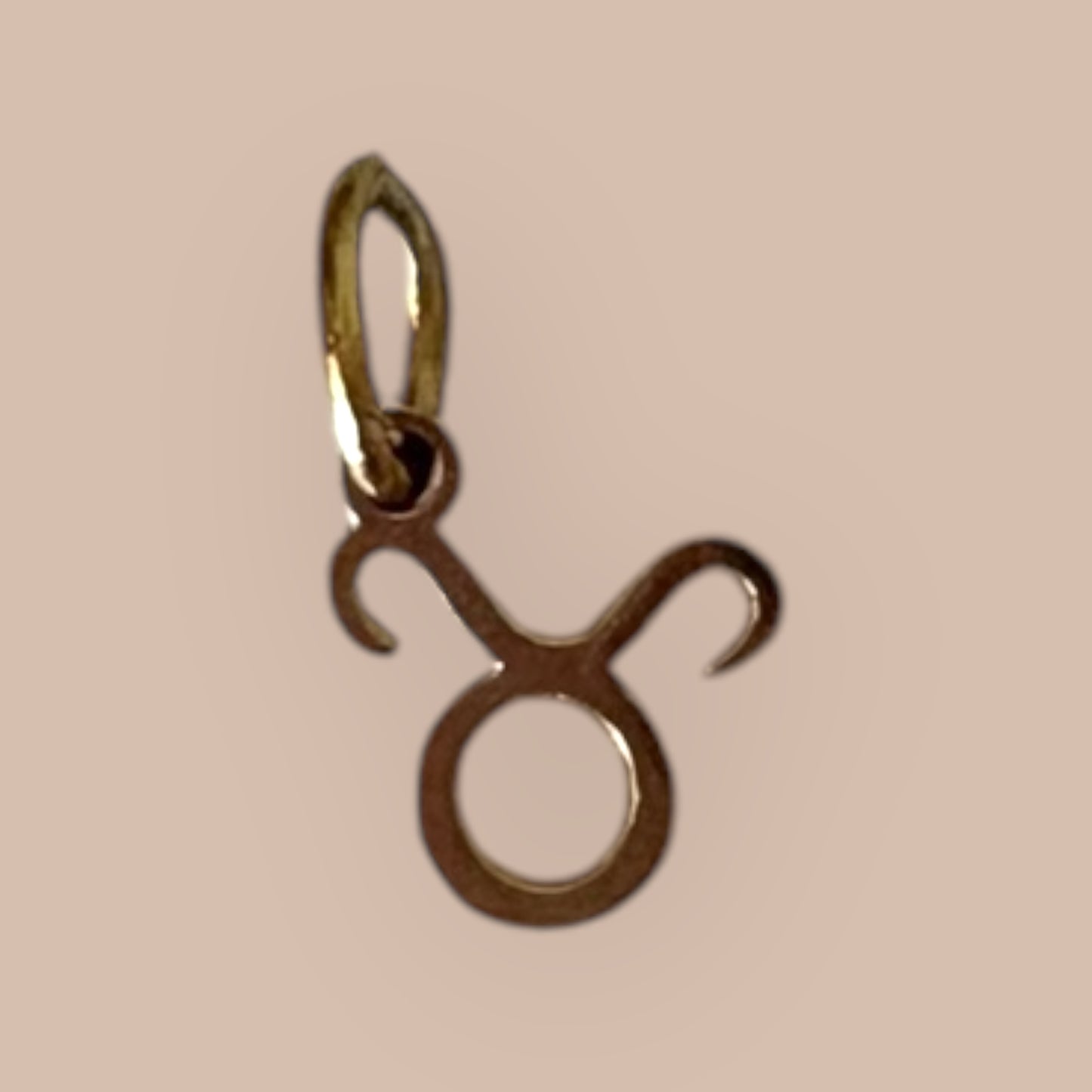 Taurus Zodiac Charm