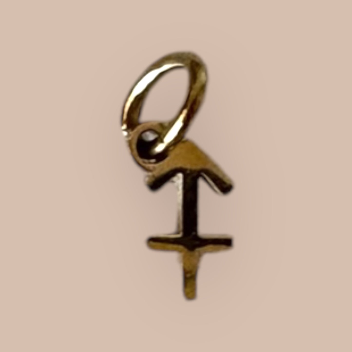 Sagittarious Zodiac Charm