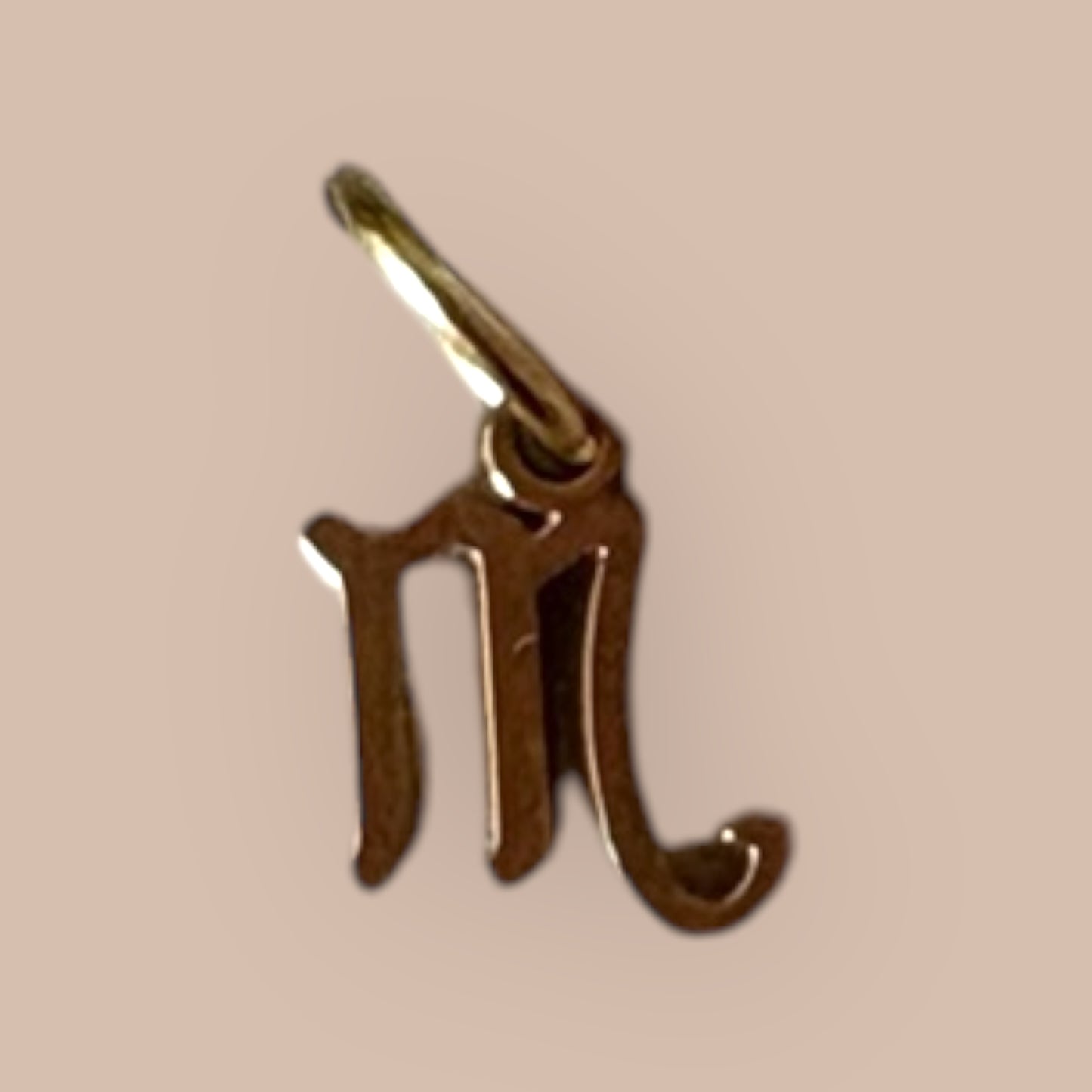 Scorpius Zodiac Charm