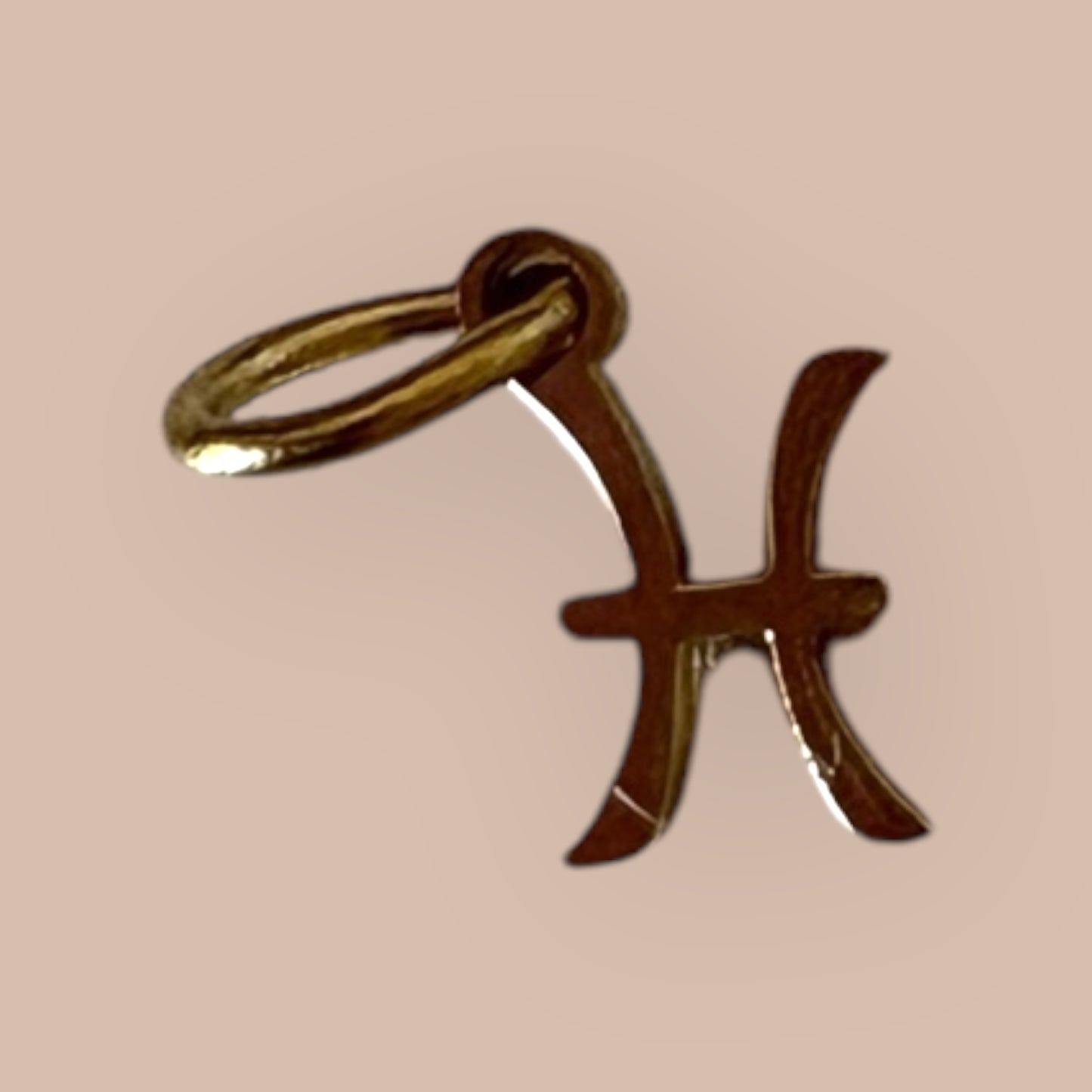 Pisces Zodiac Charm