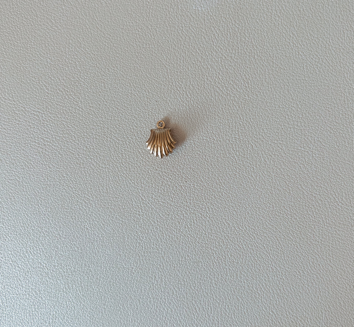 Tiny Seashell