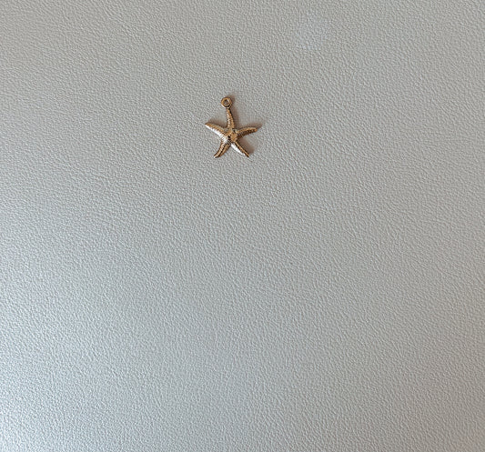 Sea Star Charm