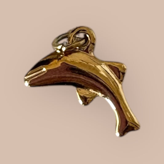 Dolphin Charm